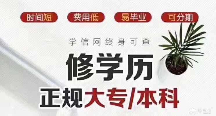 山东省威海市自学考试网，助力个人成长的在线教育平台