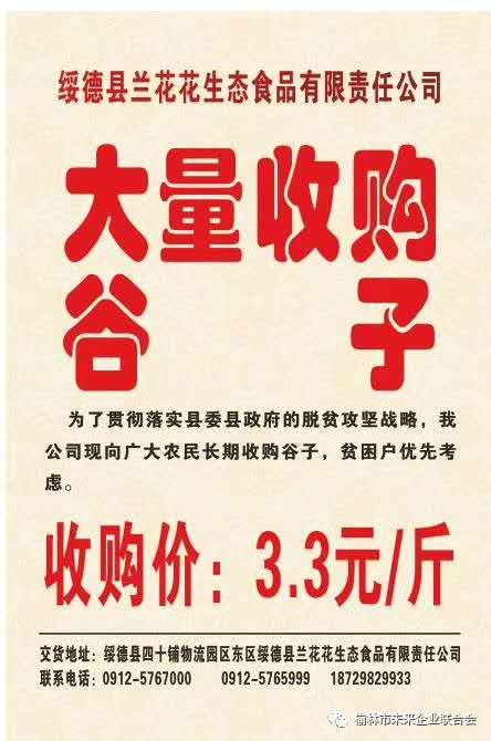 陕西招工最新招聘信息概览